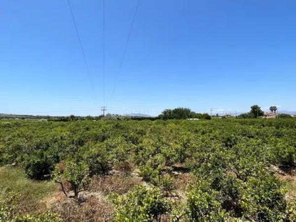 Terreno en avenida de los Llanos, 343