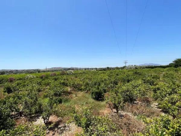 Terreno en avenida de los Llanos, 343