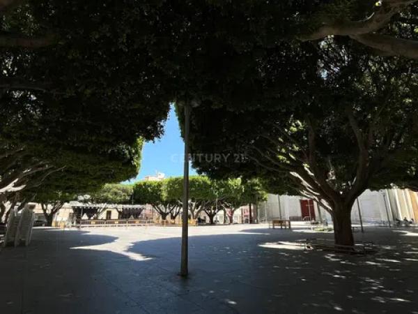 Terreno en avenida de los Llanos, 343