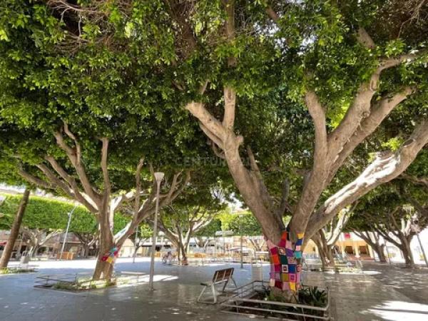 Terreno en avenida de los Llanos, 343