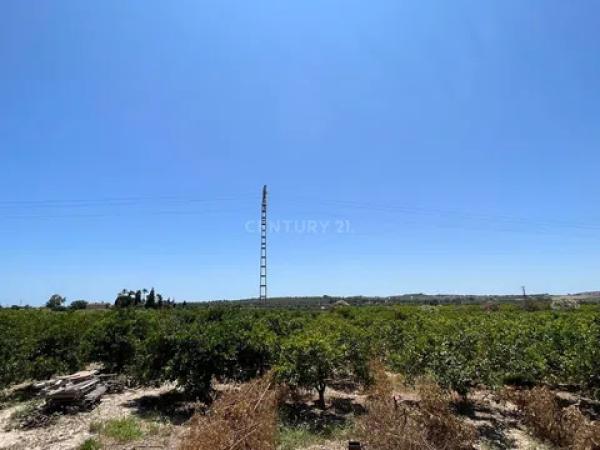Terreno en avenida de los Llanos, 343