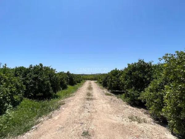 Terreno en avenida de los Llanos, 343