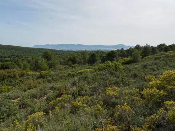 Terreno en biscoi, 11