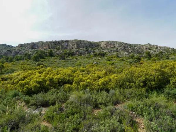 Terreno en biscoi, 11