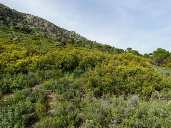 Terreno en biscoi, 11