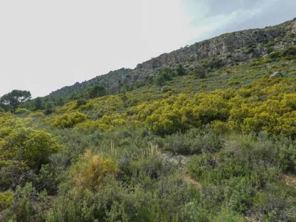 Terreno en biscoi, 11