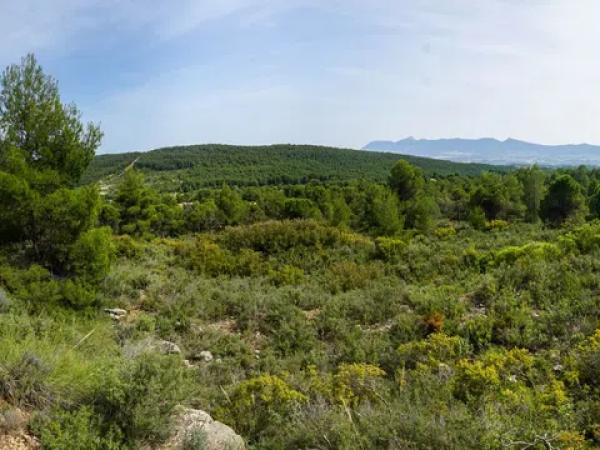 Terreno en biscoi, 11