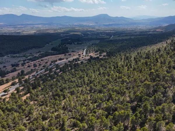 Terreno en biscoi, 11