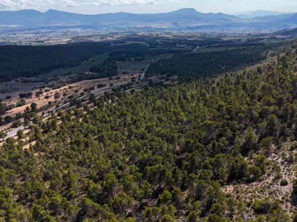 Terreno en biscoi, 11