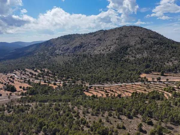 Terreno en biscoi, 11