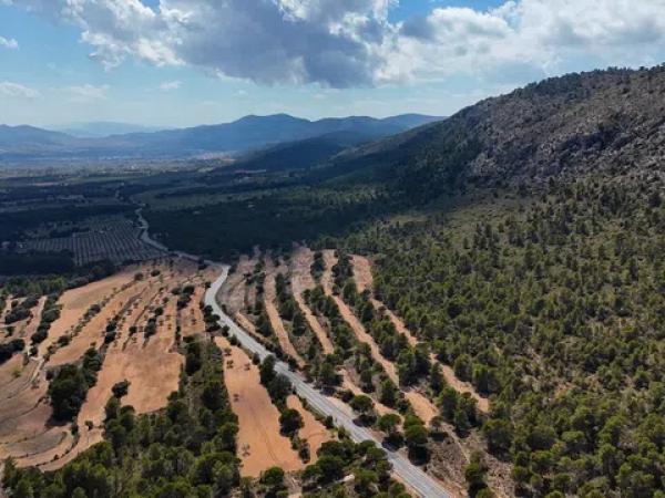 Terreno en biscoi, 11