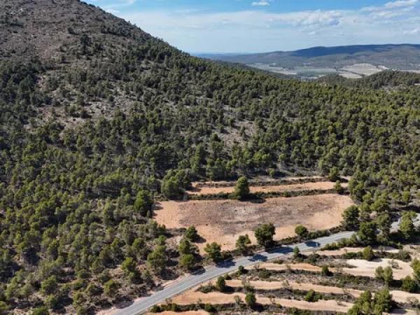 Terreno en biscoi, 11