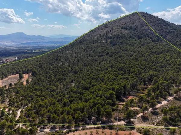 Terreno en biscoi, 11