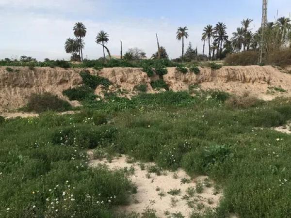 Terreno en via Sense Nom