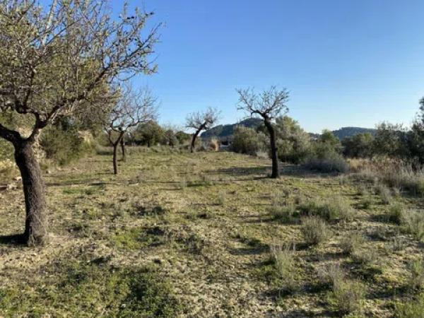 Terreno en Benissa pueblo