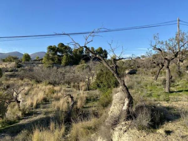 Terreno en Benissa pueblo