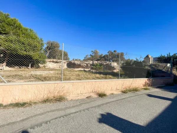 Terreno en Partida Punta la Sierra