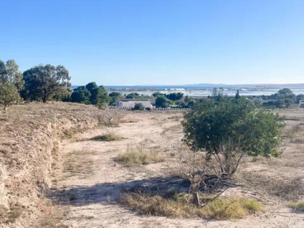 Terreno en Partida Punta la Sierra