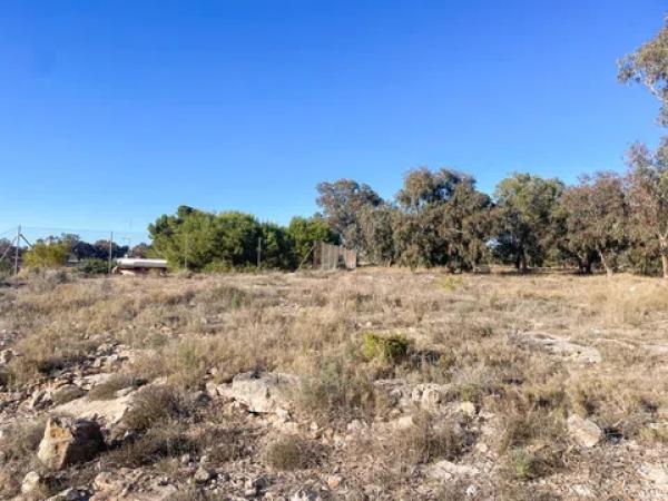 Terreno en Partida Punta la Sierra