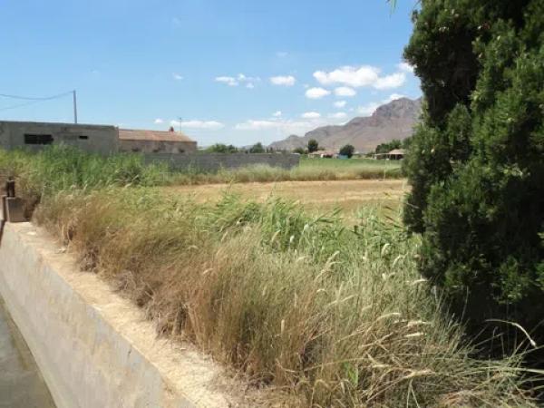 Terreno en Callosa de Segura