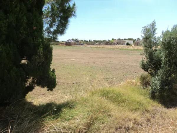 Terreno en Callosa de Segura