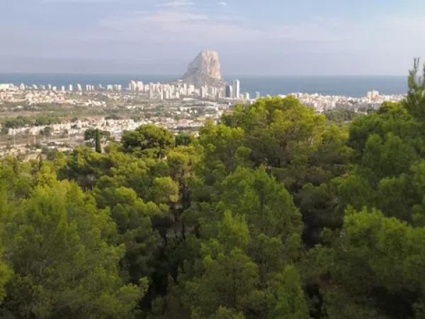 Terreno en Partida Oltamar