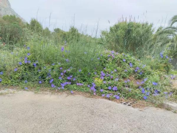 Terreno en piscis, 20