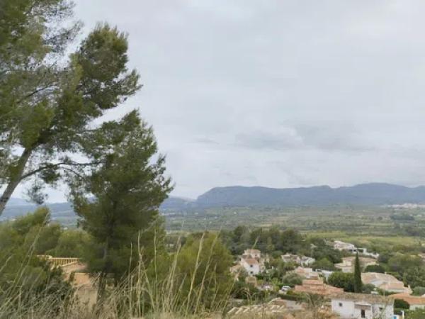 Terreno en piscis, 20