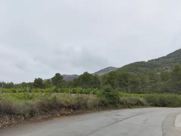 Terreno en piscis, 20