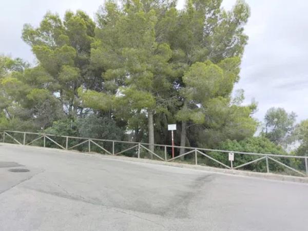 Terreno en piscis, 20