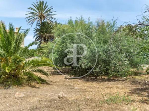 Terreno en Barrio Les Bassetes-El Marjal