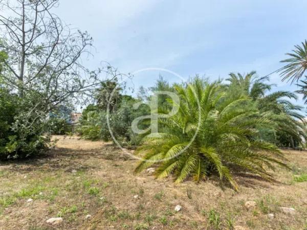 Terreno en Barrio Les Bassetes-El Marjal