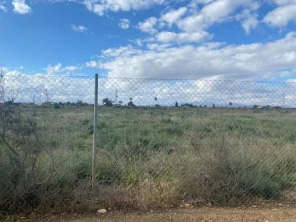 Terreno en Maitino-Perleta