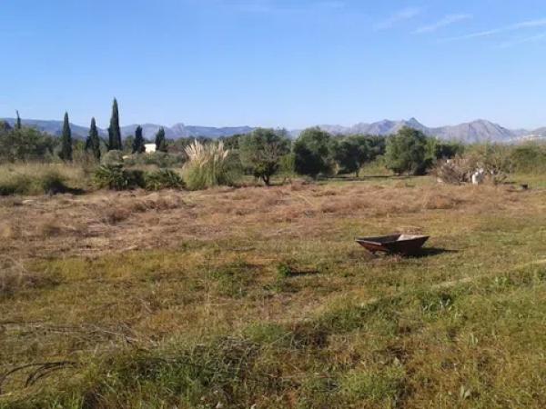 Terreno en Pedreguer