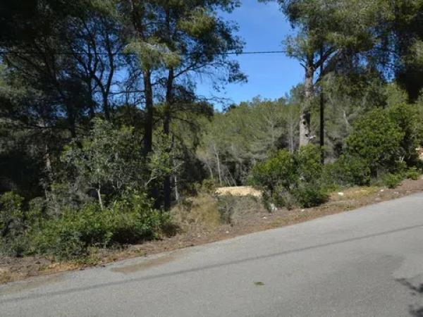 Terreno en La Granadella - Costa Nova