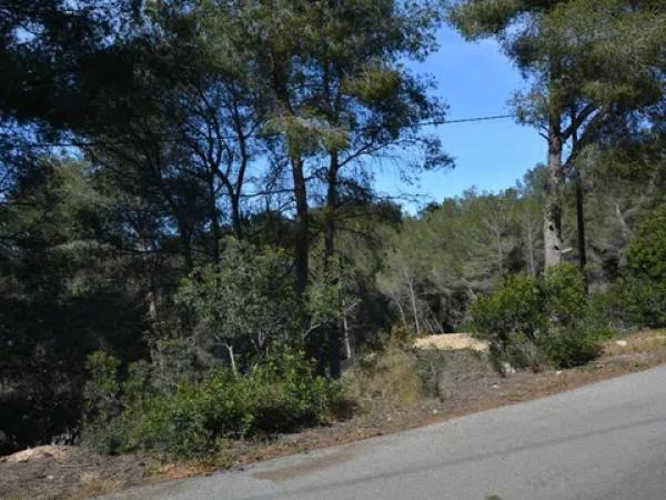 Terreno en La Granadella - Costa Nova