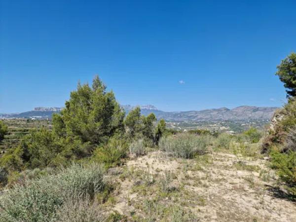 Terreno en Partida llenes, Poligono 23
