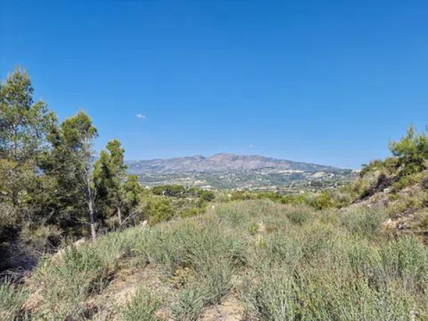 Terreno en Partida llenes, Poligono 23