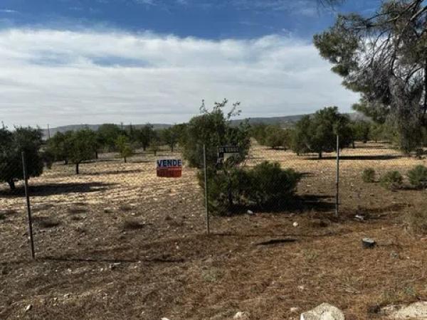 Terreno en Partida Borrell