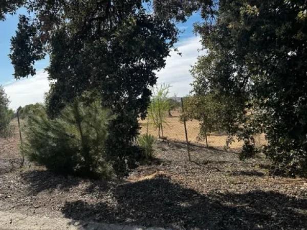 Terreno en Partida Borrell