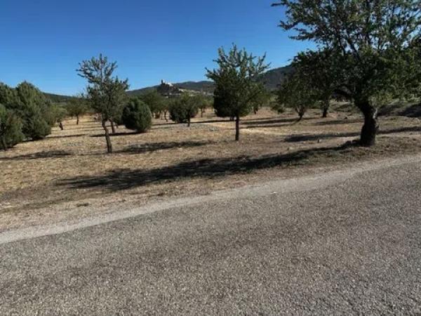 Terreno en Partida Borrell