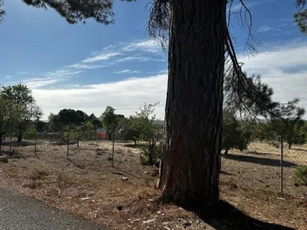 Terreno en Partida Borrell