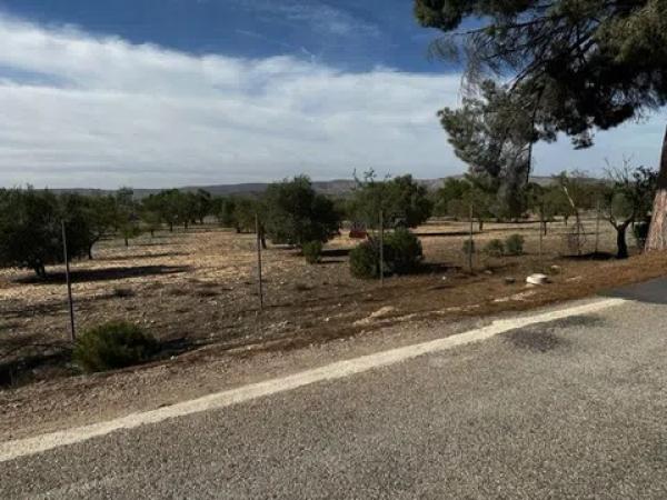 Terreno en Partida Borrell