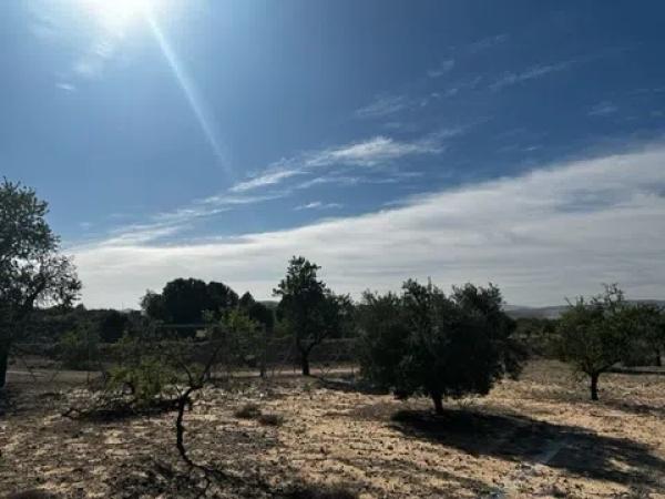 Terreno en Partida Borrell