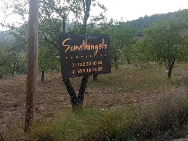 Terreno en Partida Maset, 26 -z