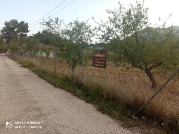 Terreno en Partida Maset, 26 -z