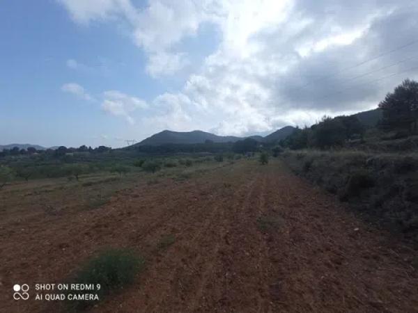 Terreno en Partida Maset, 26 -z