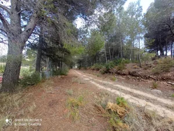 Terreno en Partida Maset, 26 -z