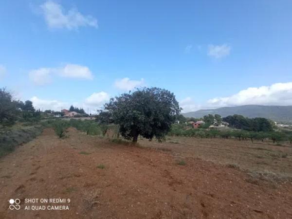 Terreno en Partida Maset, 26 -z
