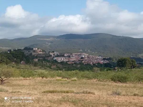 Terreno en Partida Maset, 26 -z